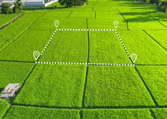 1000 square yard plot near jewar airport